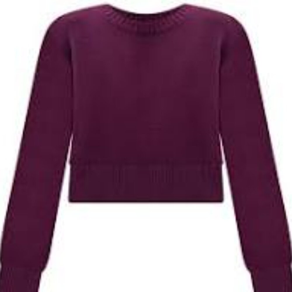 Tuckernuck Plum Crewneck Sweater
